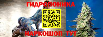 трава Ачхой-Мартан