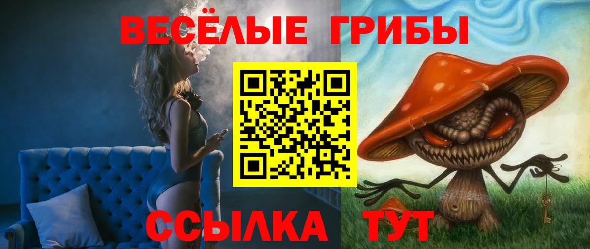 Белореченск  наркотики  Вход с VPN  Псилоцибиновые грибы MAGIC MUSHROOMS  Галлюциногенные грибы GOLDEN TEACHER 
