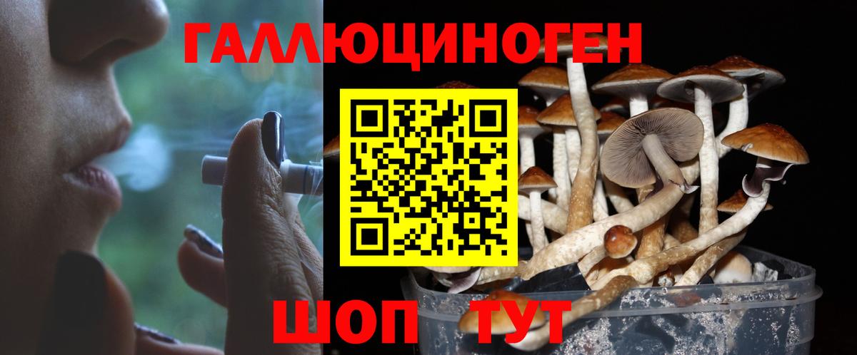 Псилоцибиновые грибы Cubensis Белореченск